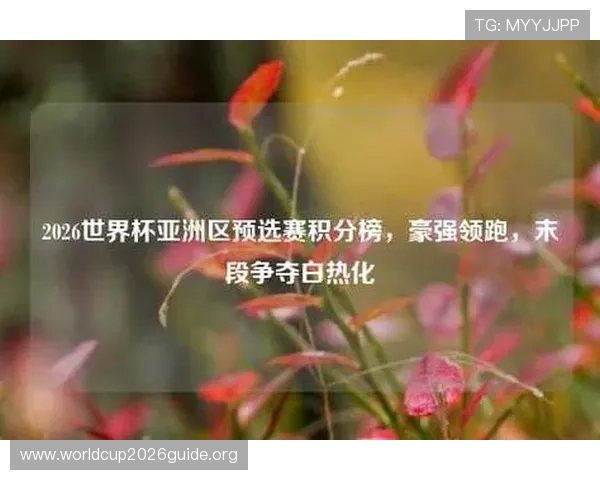2026年世界杯预选赛积分榜全景图，帮助球迷了解各参赛国家最新积分情况
